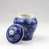 Porzellan-Teedose blau-weiß, chinesische Teeurne Porzellan