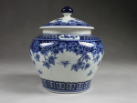 Chinesische Vase "Schmetterlige im Blütenmeer" Deckelvase blau weißes Porzellan