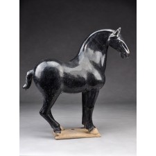 Tang-Pferd "Onyx", rechtsgewandt