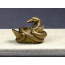 Die Chinesischen Tierkreiszeichen "Die Schlange"