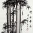 chinesische Schriftzeichen