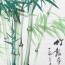 Tuschezeichnung grüner Bambus