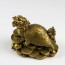 Drachenschildkröte