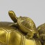 Kleine Schildkröte auf dem Rücken
