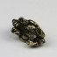Drachenschildkröte Unteransicht
