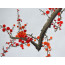 Stickbild "Pflaumenblüte Frühlingserwachen", groß