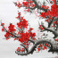 Bildrolle, chinesische Pflaumenblüte