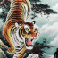 Chinesisches Rollbild "Tiger", chinesisches Tierkreiszeichen