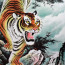 Rollbild "Tiger", Bildrolle China