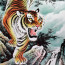 Chinesisches Sternzeichen Tiger als Bildrolle