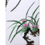Stickbild Chinesische Blumen "Orchidee"