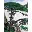 Stickbild "Kiefer im Hochnebel"