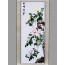 Stickbild "Die Vier Edlen - Chrysantheme"