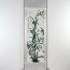 Wandbild Bambus